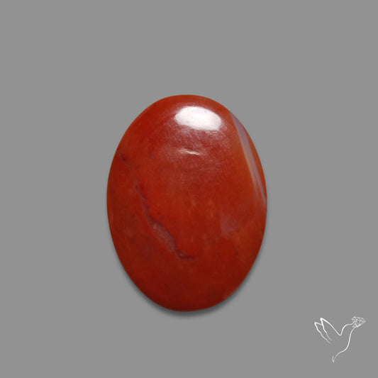 Red Petrified Wood Cabochon