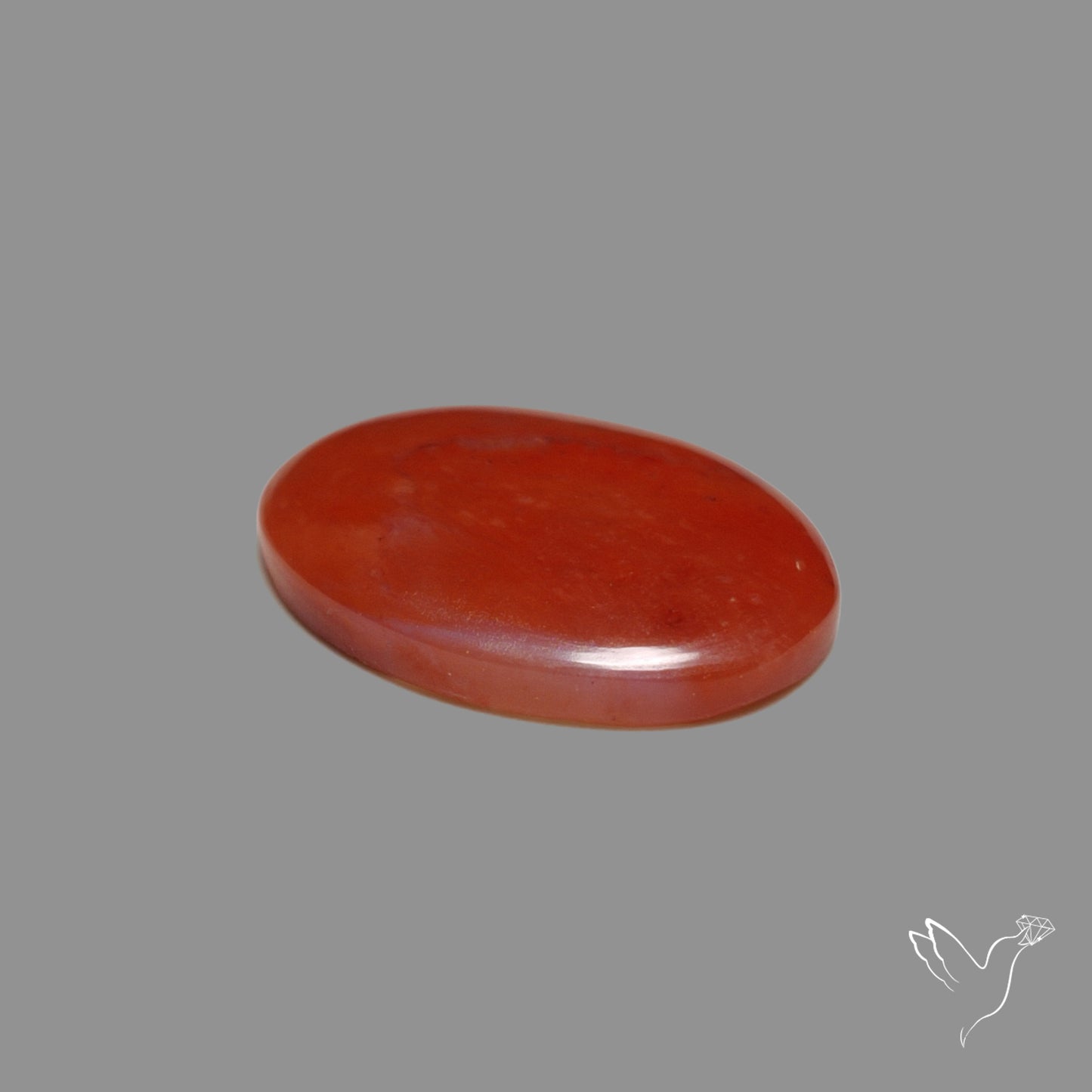 Red Petrified Wood Cabochon
