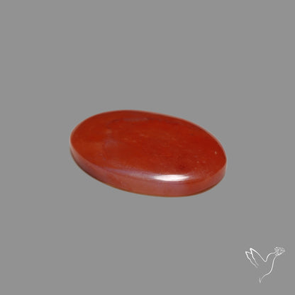 Red Petrified Wood Cabochon