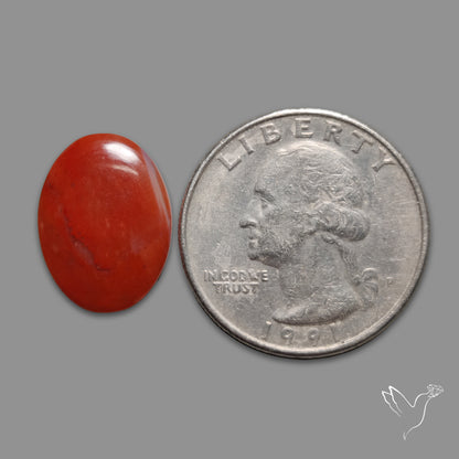 Red Petrified Wood Cabochon
