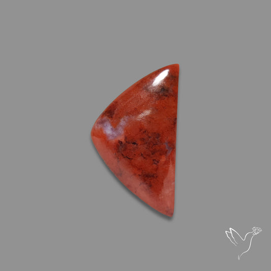 Red Petrified Wood Cabochon