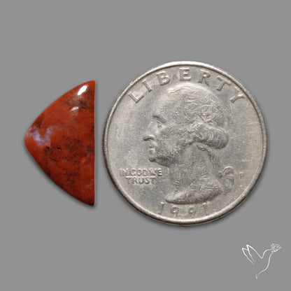 Red Petrified Wood Cabochon