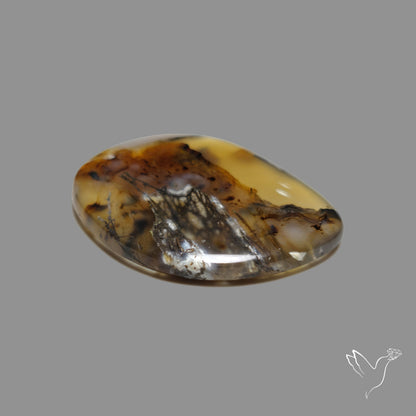 Montana Agate Cabochon