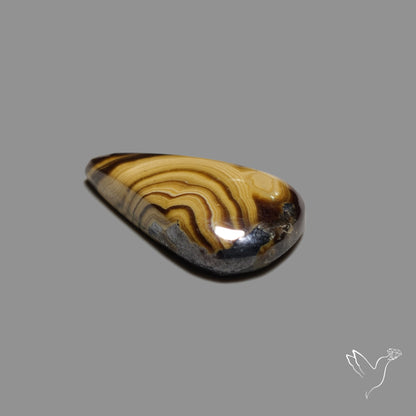 Schalenblende Cabochon