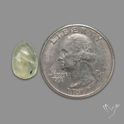 Rose Cut Prehnite