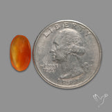 Rose Cut Carnelian Agate