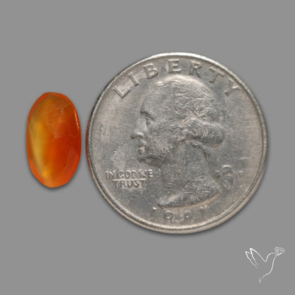 Rose Cut Carnelian Agate