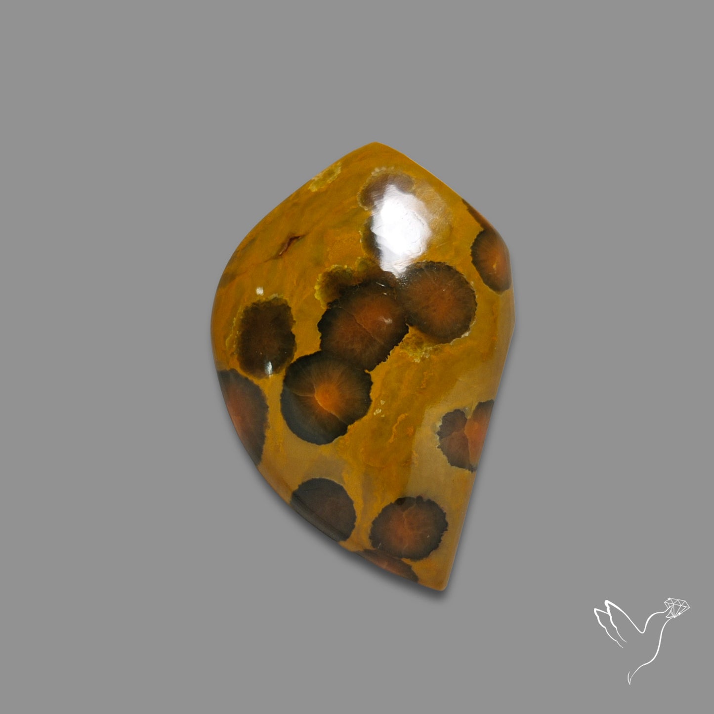Orbicular Ocean Jasper Cabochon
