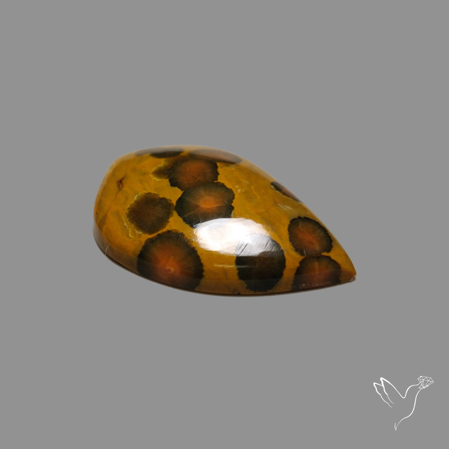 Orbicular Ocean Jasper Cabochon