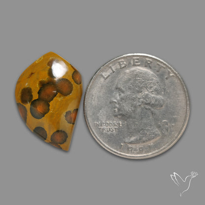 Orbicular Ocean Jasper Cabochon