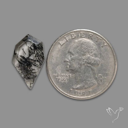 Step Cut Sri Lankan Black Rutilated Quartz