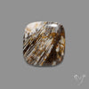 Feather Petrified Wood Jasper