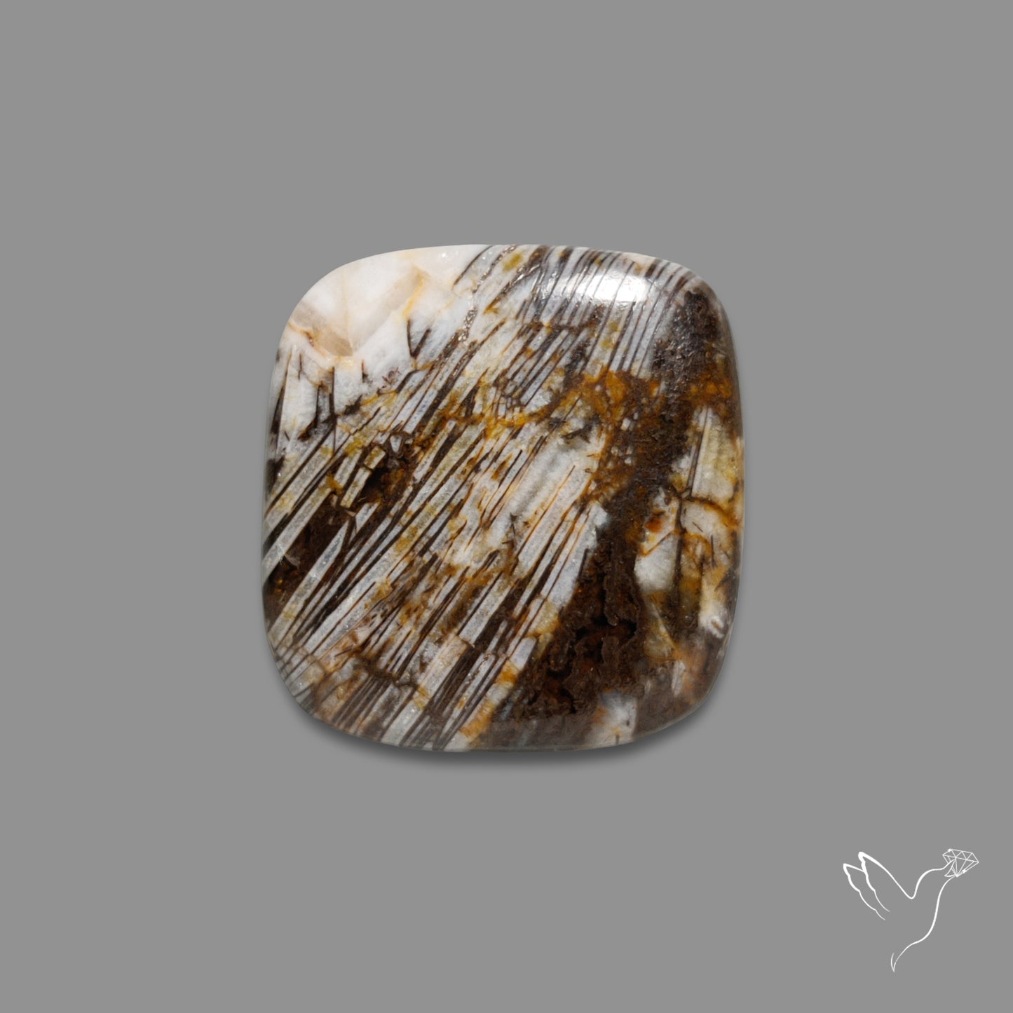 Feather Petrified Wood Jasper