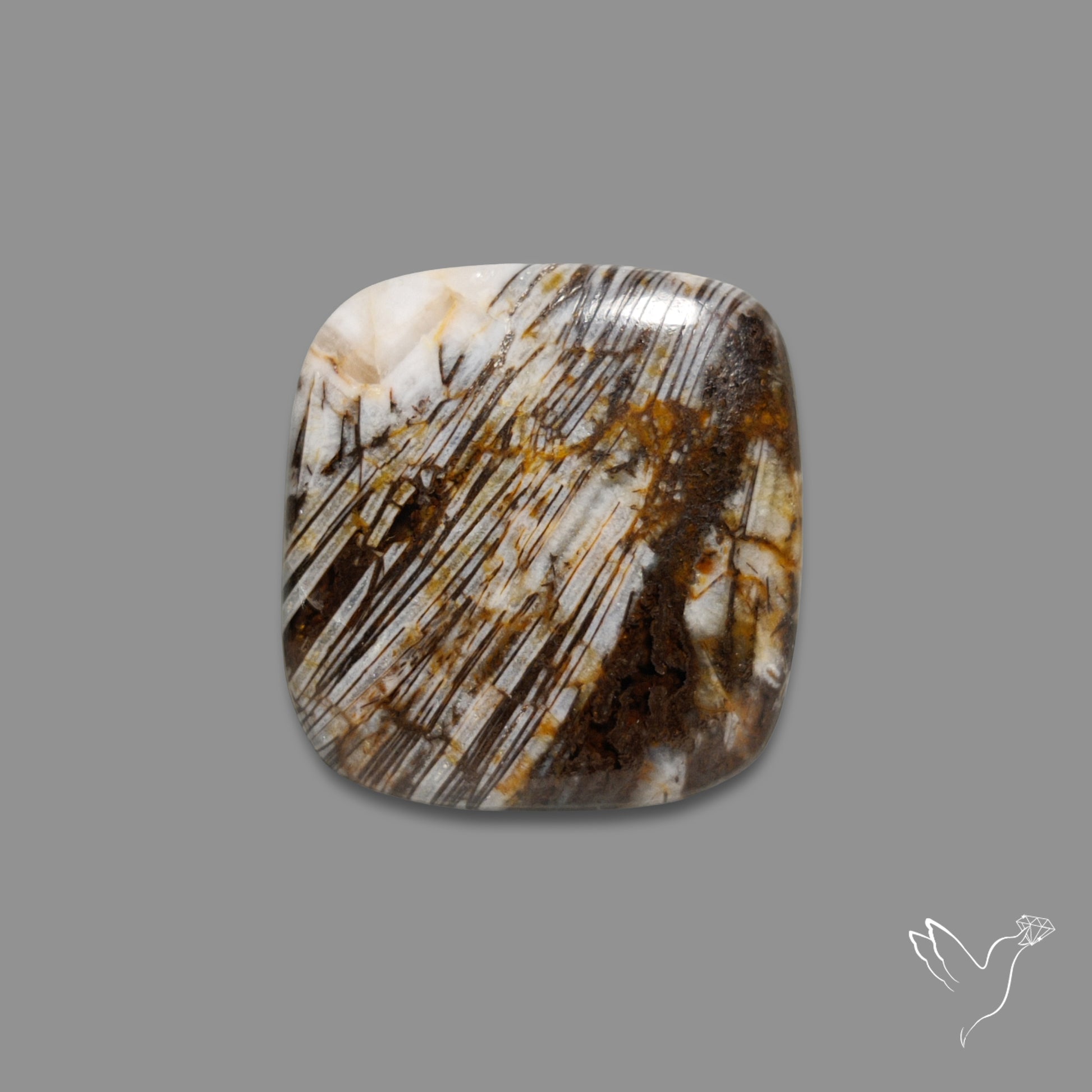 Feather Petrified Wood Jasper