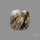 Feather Petrified Wood Jasper