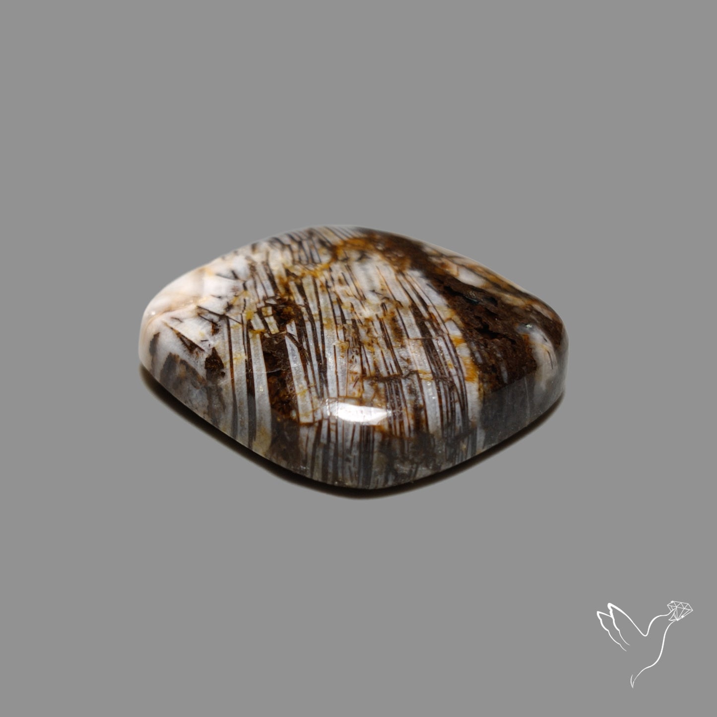 Feather Petrified Wood Jasper