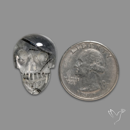 Black Tourmalinated Quartz Skelton Face