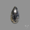 Rose Cut Dendritic Agate