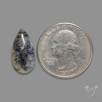Rose Cut Dendritic Agate