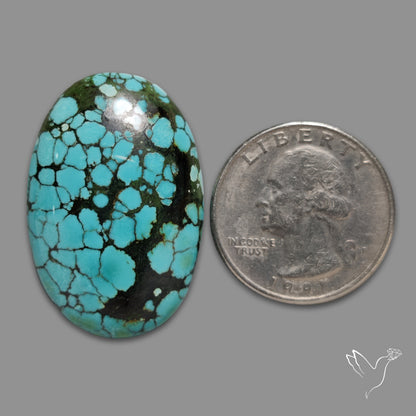 Large Hubei Polychrome Turquoise Cabochon