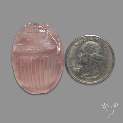 Rose Quartz Beetle Carving