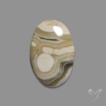 Ocean Jasper Cabochon