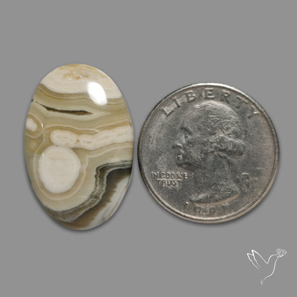 Ocean Jasper Cabochon