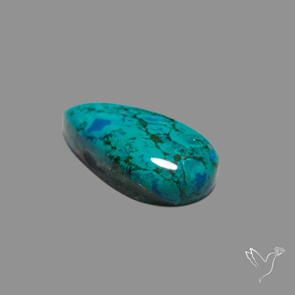 Chrysocolla Cabochon