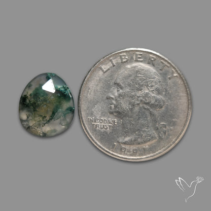 Rose Cut Moss Agate