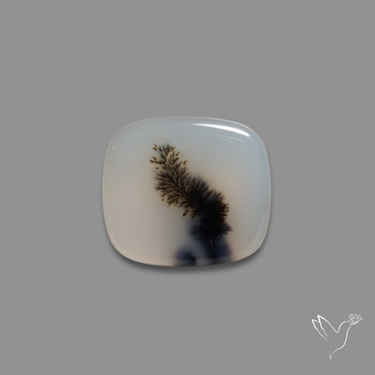 Scenic Agate Cabochon