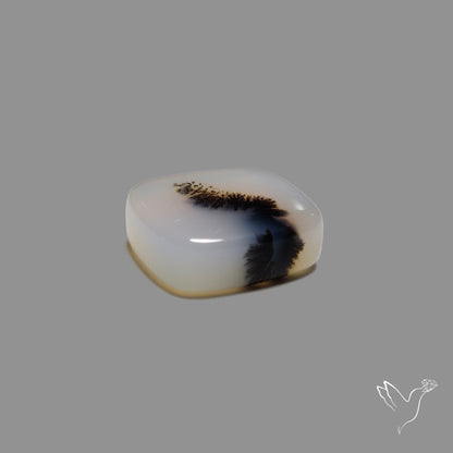 Scenic Agate Cabochon