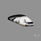 White Buffalo Turquoise Cabochon