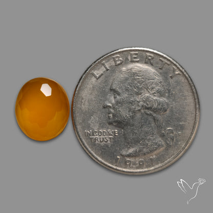 Honeycomb Cut Carnelian Agate