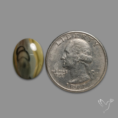 Imperial Jasper Cabochon