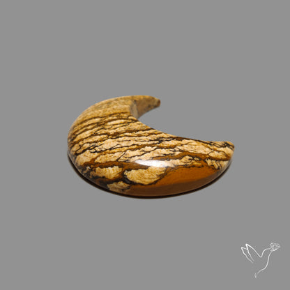 Deschutes Picture Jasper Cabochon