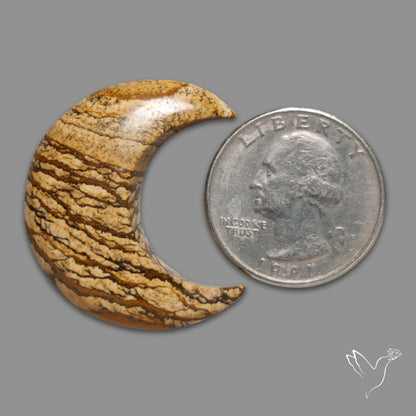 Deschutes Picture Jasper Cabochon