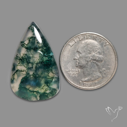 Moss Agate Cabochon