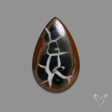 Black Septarian Fossil Cabochon