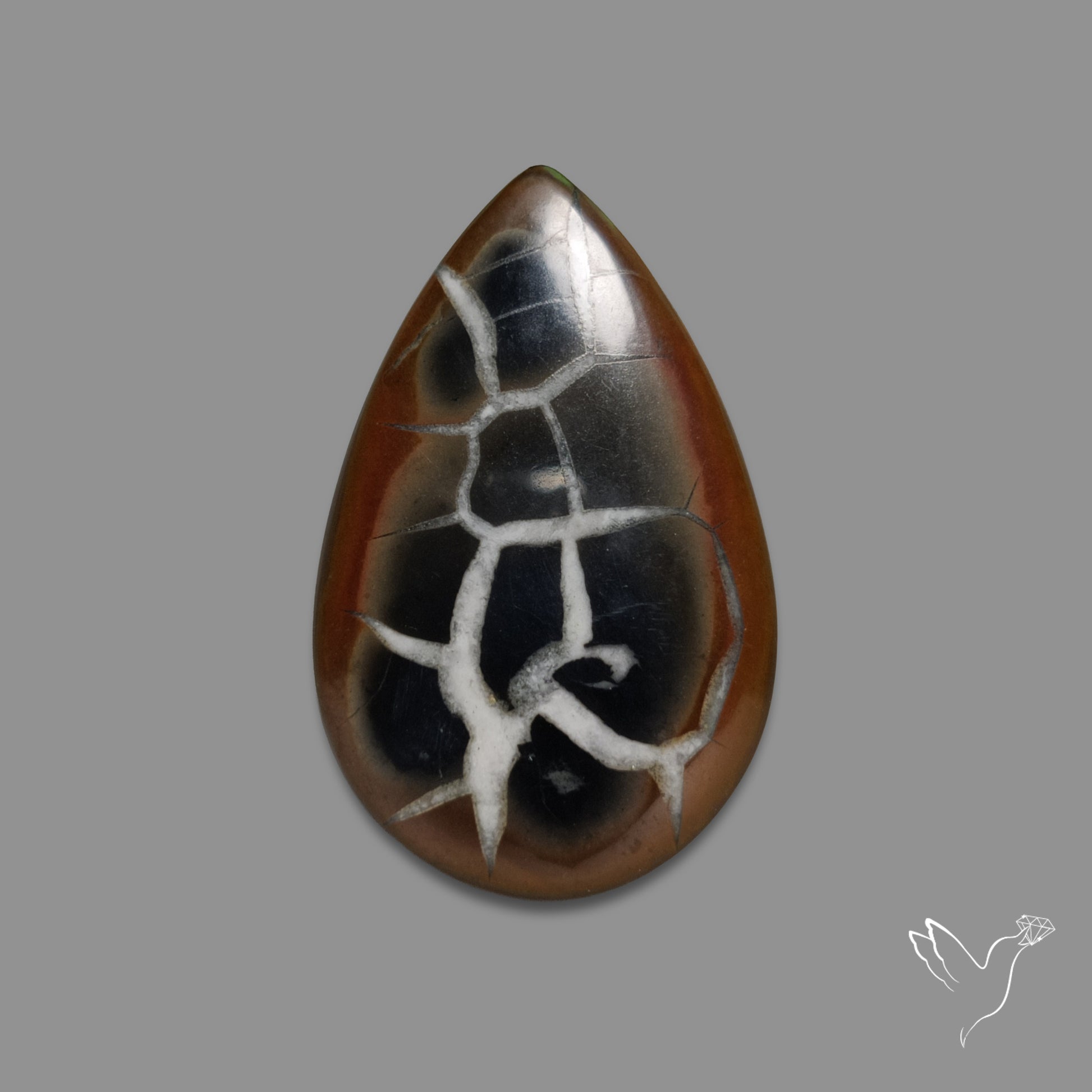 Black Septarian Fossil Cabochon