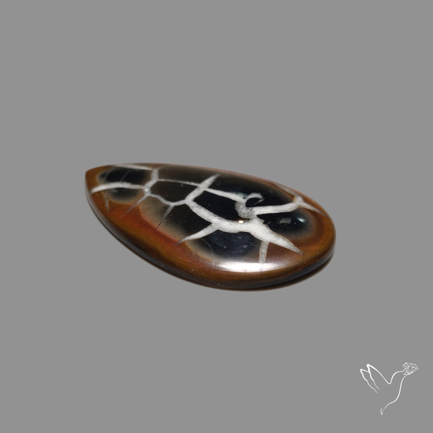 Black Septarian Fossil Cabochon