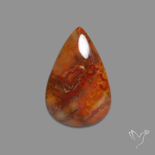 Petrified Wood Cabochon