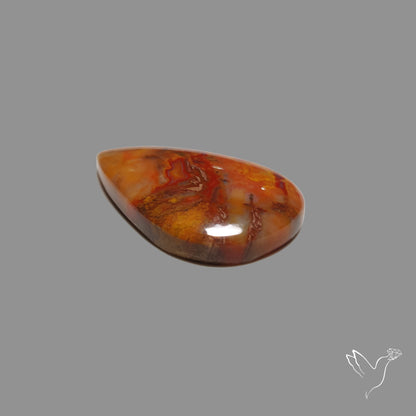 Petrified Wood Cabochon