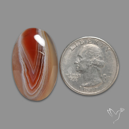 Botswana Agate Cabochon