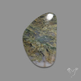 White Horse Canyon Moss Agate Cabochon
