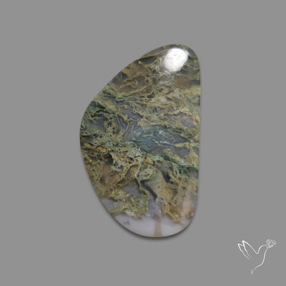 White Horse Canyon Moss Agate Cabochon