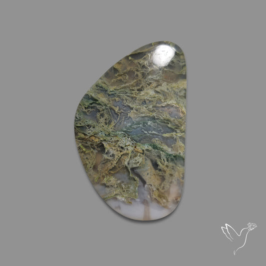 White Horse Canyon Moss Agate Cabochon