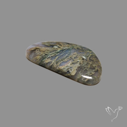 White Horse Canyon Moss Agate Cabochon