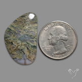 White Horse Canyon Moss Agate Cabochon