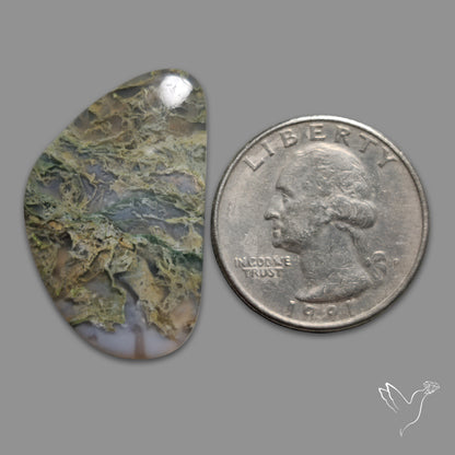 White Horse Canyon Moss Agate Cabochon