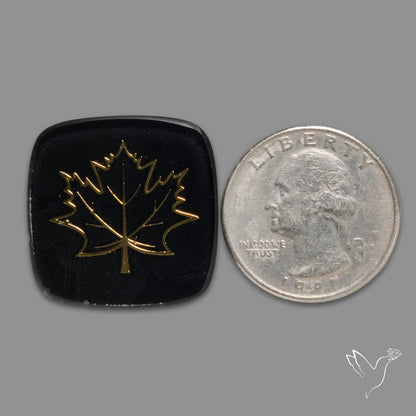 Metallic Inlay in Onyx Doublet with Quartz